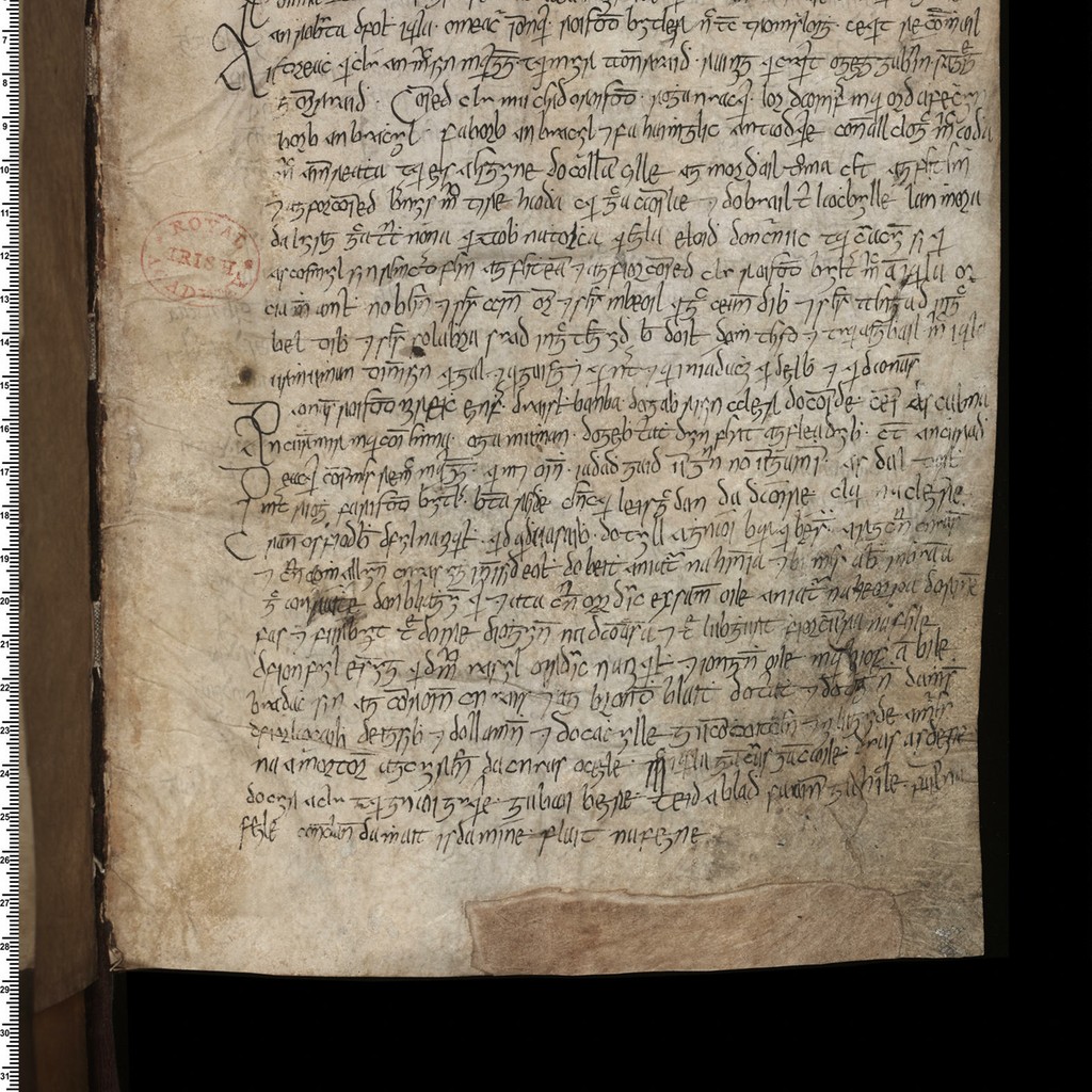 Irish Script on Screen - MS 23 F 21 (Butler Duanaire)
